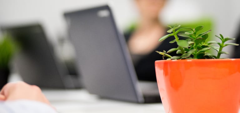 Automated interfaces for XML validation facilitate continuous software testing