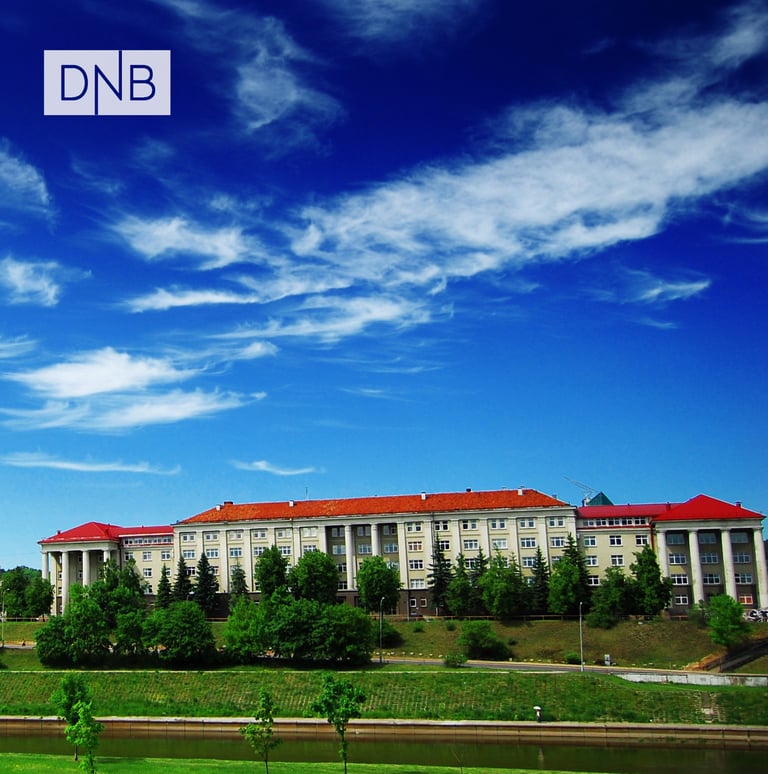 DNB Lithuania supports customers’ serial migrations with self-service XML testing