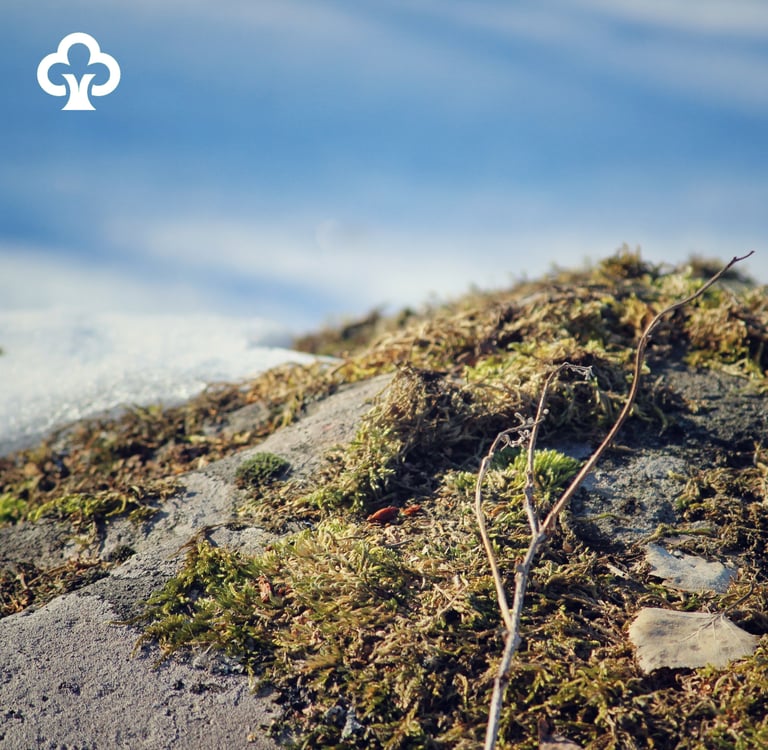 Central Bank of Savings Banks Finland: Custom XML handling for clearing files